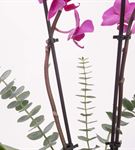 Lahey Double Purple 2 Dal Orkide Tasarım Aranjmanı
