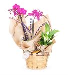 Panagia Luxury Çiçek Sepeti 2 Dal Orkide Aranjmanı