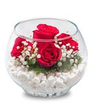 Akvaryum Vazoda 5 Kırmızı Güller