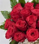 Aşk Kırmızısı 25 Kırmızı Güller