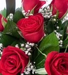 Aşkın Rengi 7 Kırmızı Gül Çiçek Sepeti