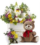 Avalon Kutuda Sevimli Ayıcık ve Renkli Çiçekler