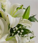 Beyaz Güzellik Kokulu Çiçek Aranjmanı