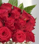 Bir Sevda Masalı 20 Kırmızı Güller