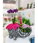 Dekoratif Saksıda Mini Orkide Ve Mini Güller