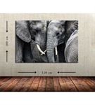 Fil İkili Büyük Boy  Kanvas Tablo 100x150 cm