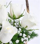 Martha Serisi 7 Beyaz Gül Çiçek Sepeti Aranjmanı