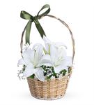 Martha Serisi Mis Kokulu Beyaz Lilyum Çiçek Sepeti