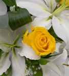 Minorka Vazoda Beyaz Lilyum ve Sarı Gül Aranjmanı