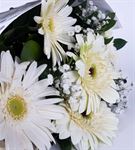 Saf Duygular 5 Beyaz Gerbera Çiçek Buketi