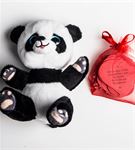 Seni Seviyorum Çünkü Mesaj Kartlı Peluş Panda