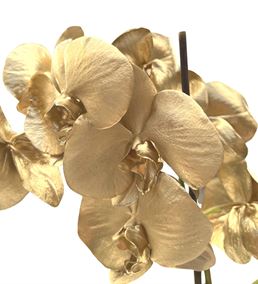 Altın Orkide Çiçeği Gold Seramik Saksılı