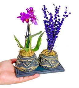 Egypt Çift Dal Mini Orkide Ve Lavanta Seti