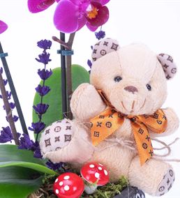 Spago Serisi Teddy Bear 2 Dal Mini Mor Orkide