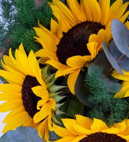 Sunshine Kucak Dolusu Ay Çiçeği Tasarım Buketi