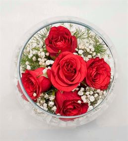 Akvaryum Vazoda 5 Kırmızı Güller