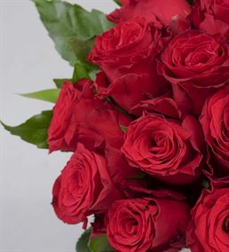 Aşk Kırmızısı 25 Kırmızı Güller Aranjmanı