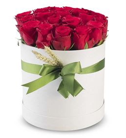 Aşkın Simgesi Tasarım Kutuda 20 Güller