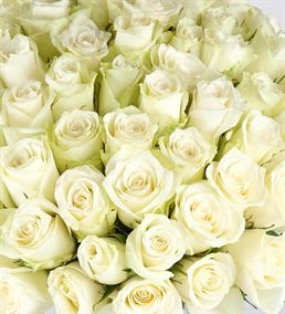 Beyaz Duygu Vazoda Tasarım 50 Beyaz Güller