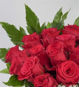 Bir Sevda Masalı Tasarım 20 Kırmızı Güller