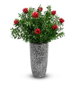Christmas Tasarım Vazoda Kokina Tasarım Çiçeği