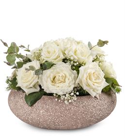 Dekoratif Saksıda 17 Beyaz Güller