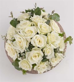 Dekoratif Saksıda 17 Beyaz Güller