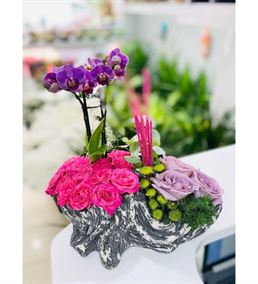 Dekoratif Saksıda Mini Orkide Ve Mini Güller