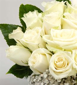 Genç ve Güzel 20 Beyaz Güller Aranjmanı