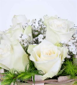Martha Serisi 11 Beyaz Gül Çiçek Sepeti