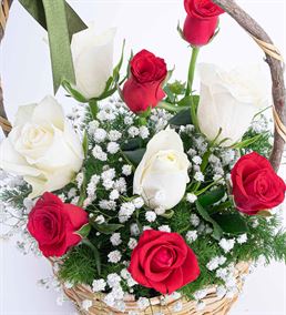 Martha Serisi 5 Kırmızı 4 Beyaz Gül Çiçek Sepeti
