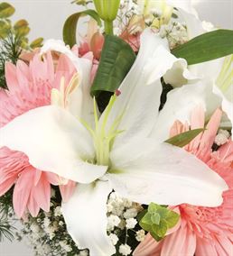 Mis Kokulu Pembe Beyaz Zarif Çiçekler