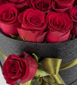 Sasa Mila Kutuda 20 Kırmızı Güller