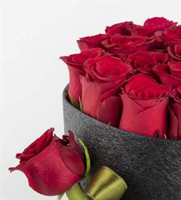Sasa Mila Kutuda 20 Kırmızı Güller