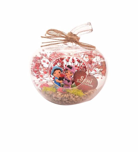 Mini Elma Sevgiliye Çiçek Teraryum-Ebame0157
