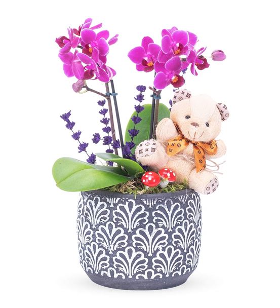 Spago Serisi Teddy Bear 2 Dal Mini Mor Orkide