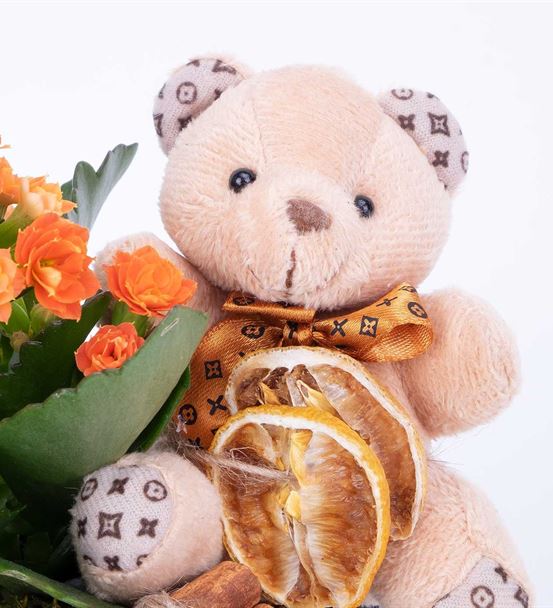 Teddy Bear Serisi Turuncu Kalanchoe Aranjmanı