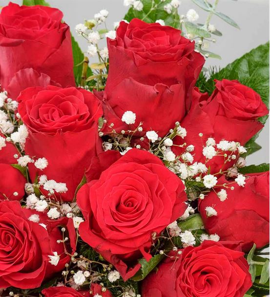 Aşkını Göster 15 Kırmızı Güller