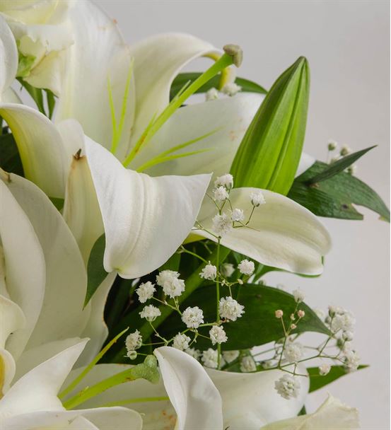 Beyaz Güzellik Kokulu Çiçek Aranjmanı