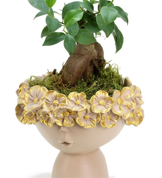 Çiçekli Kız ve Mini Ficus Bonsai