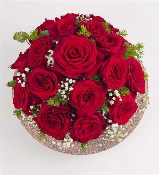 Dekoratif Saksıda 17 Kırmızı Güller