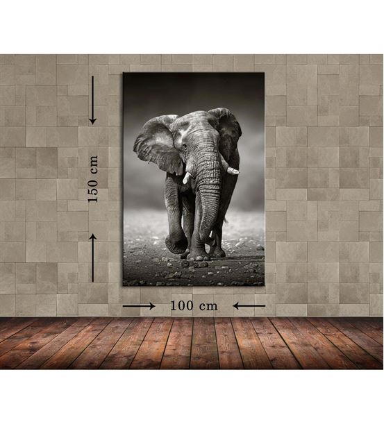 Fil Tek Büyük Boy  Kanvas Tablo 100x150 cm