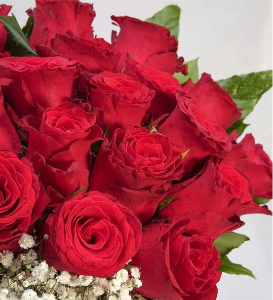 İhtiraslı Aşk 25 Kırmızı Güller