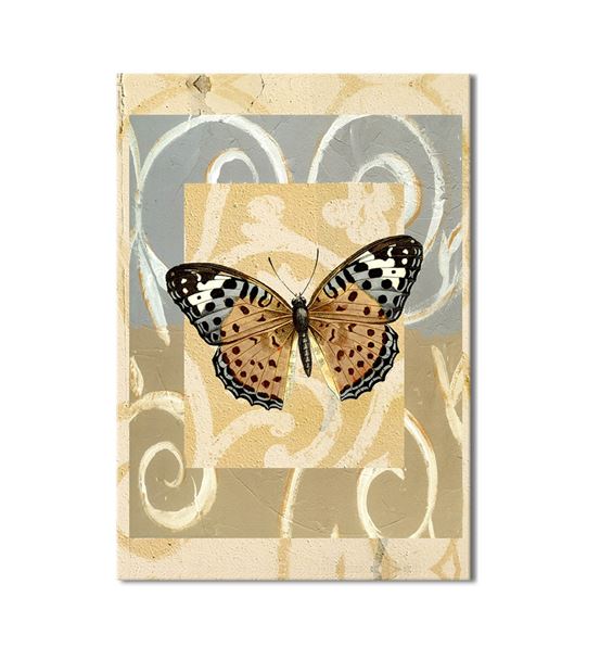 Kahverengi Kelebek Kanvas Tablo 50x70 cm