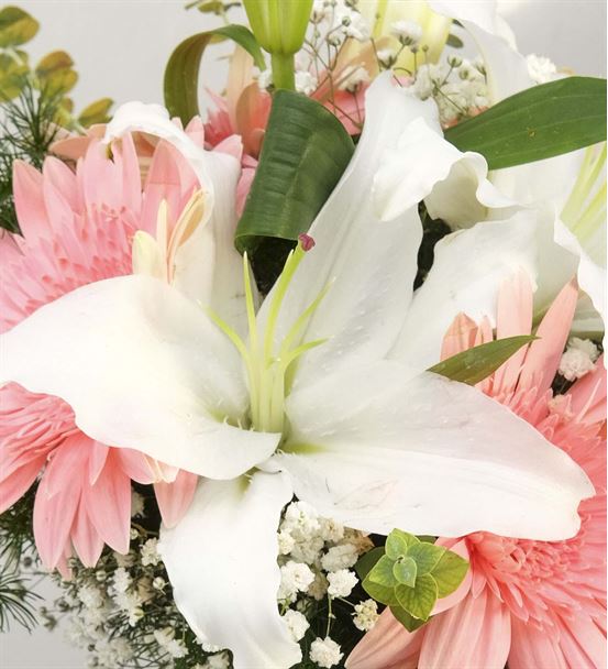Pembe Beyaz Zarif Çiçekler