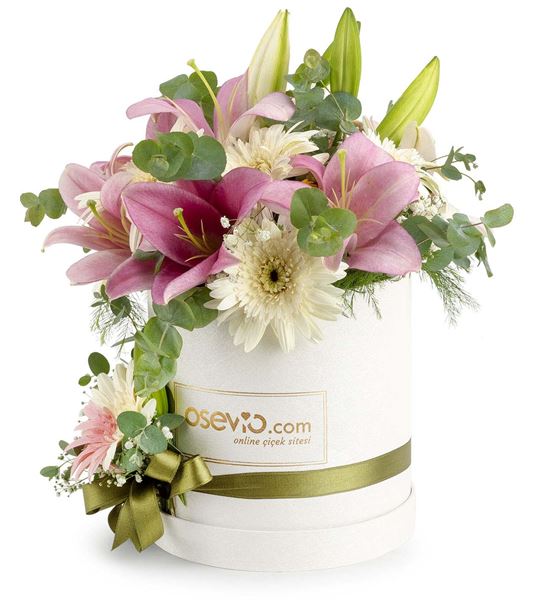 Pescara Kutu Pembe Lilyum ve Beyaz Gerbera Çiçeği