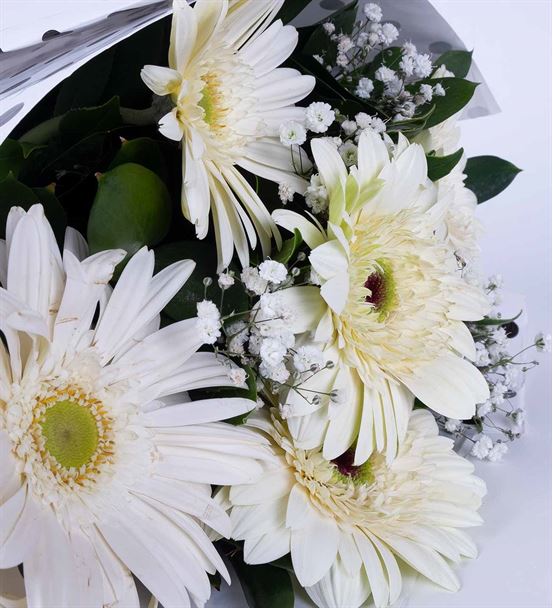 Saf Duygular 5 Beyaz Gerbera Çiçek Buketi
