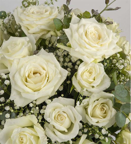 White Beauty Kutuda 30 Beyaz Güller